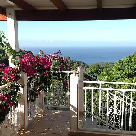 Villa Des Iles Basse-Terre Exteriör bild