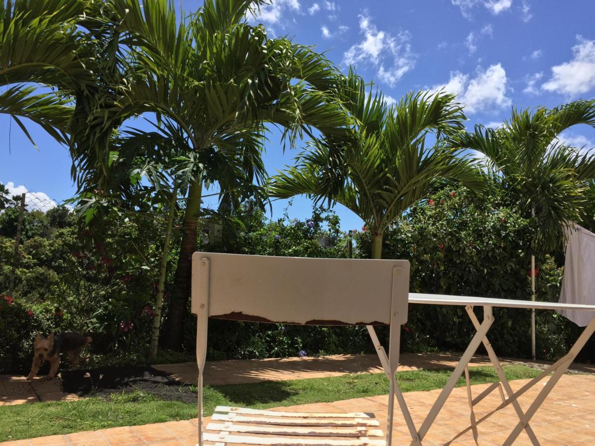 Villa Des Iles Basse-Terre Exteriör bild