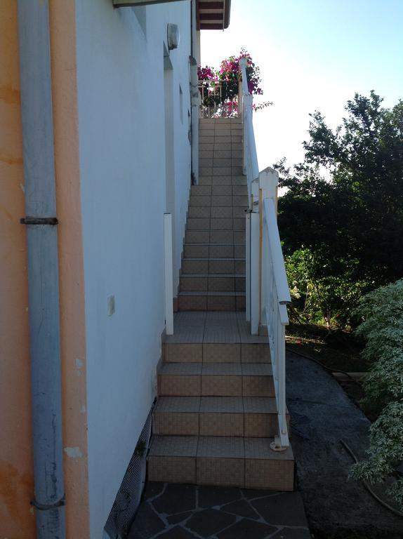 Villa Des Iles Basse-Terre Exteriör bild