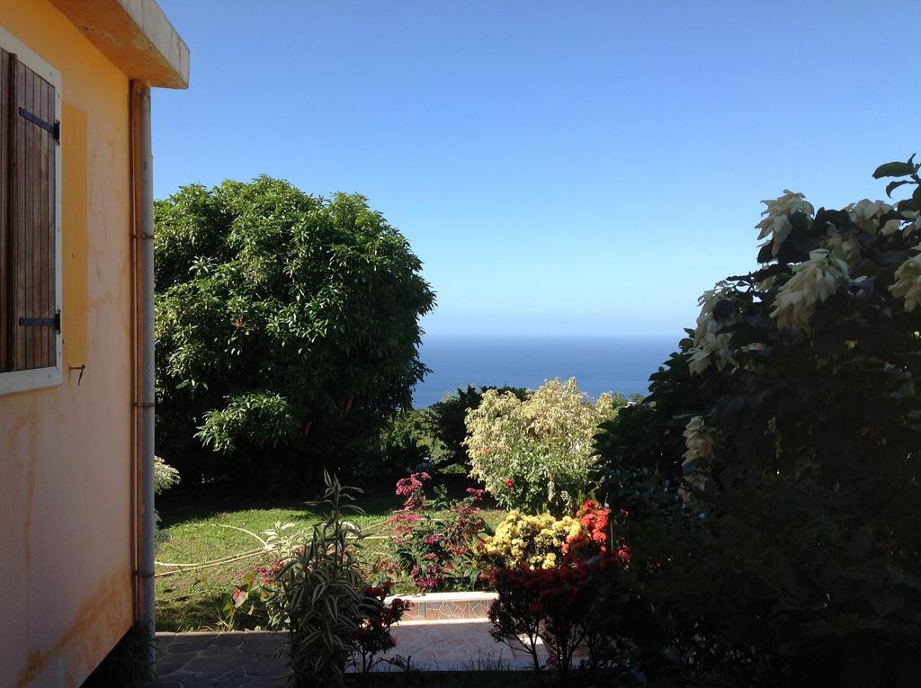 Villa Des Iles Basse-Terre Exteriör bild