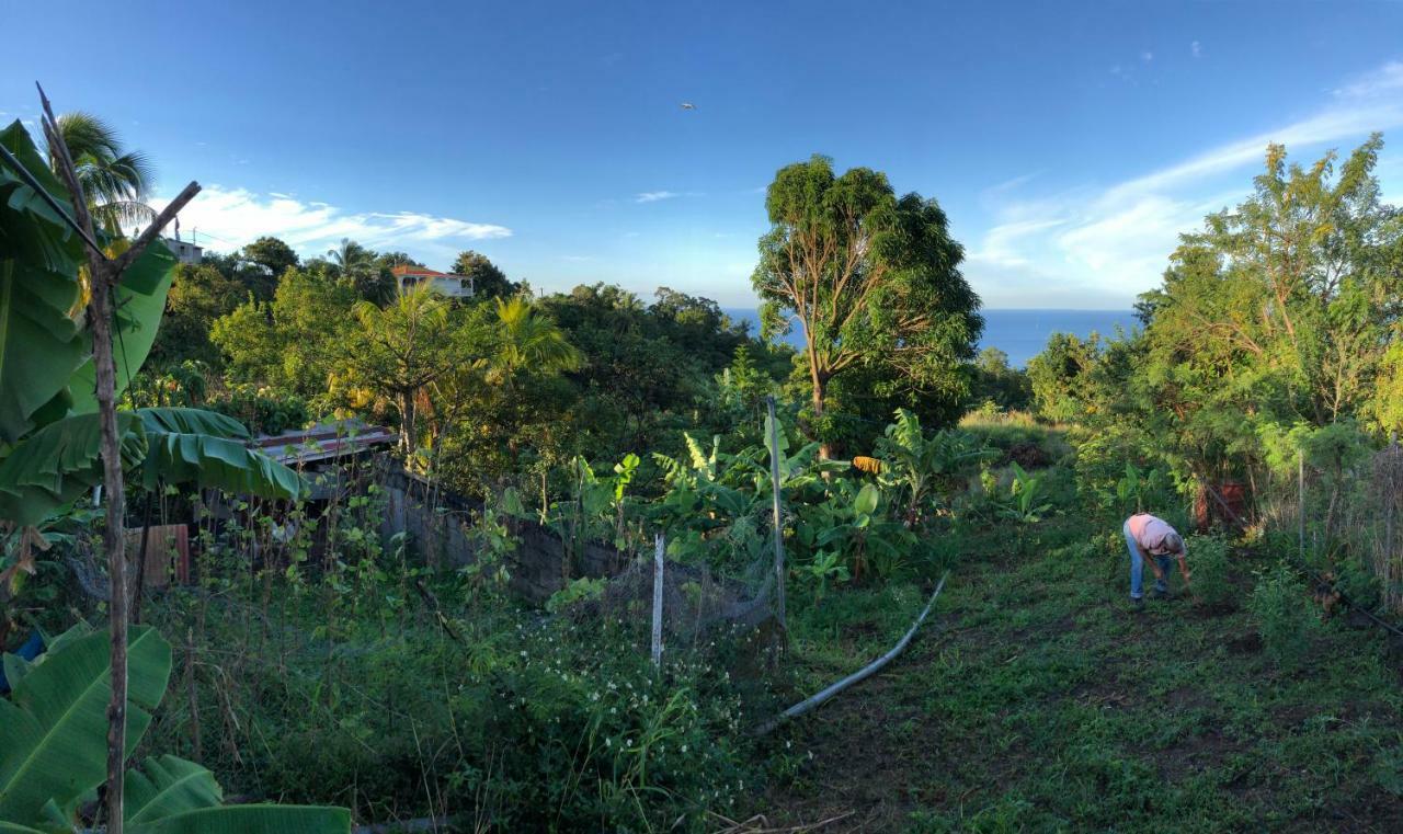Villa Des Iles Basse-Terre Exteriör bild